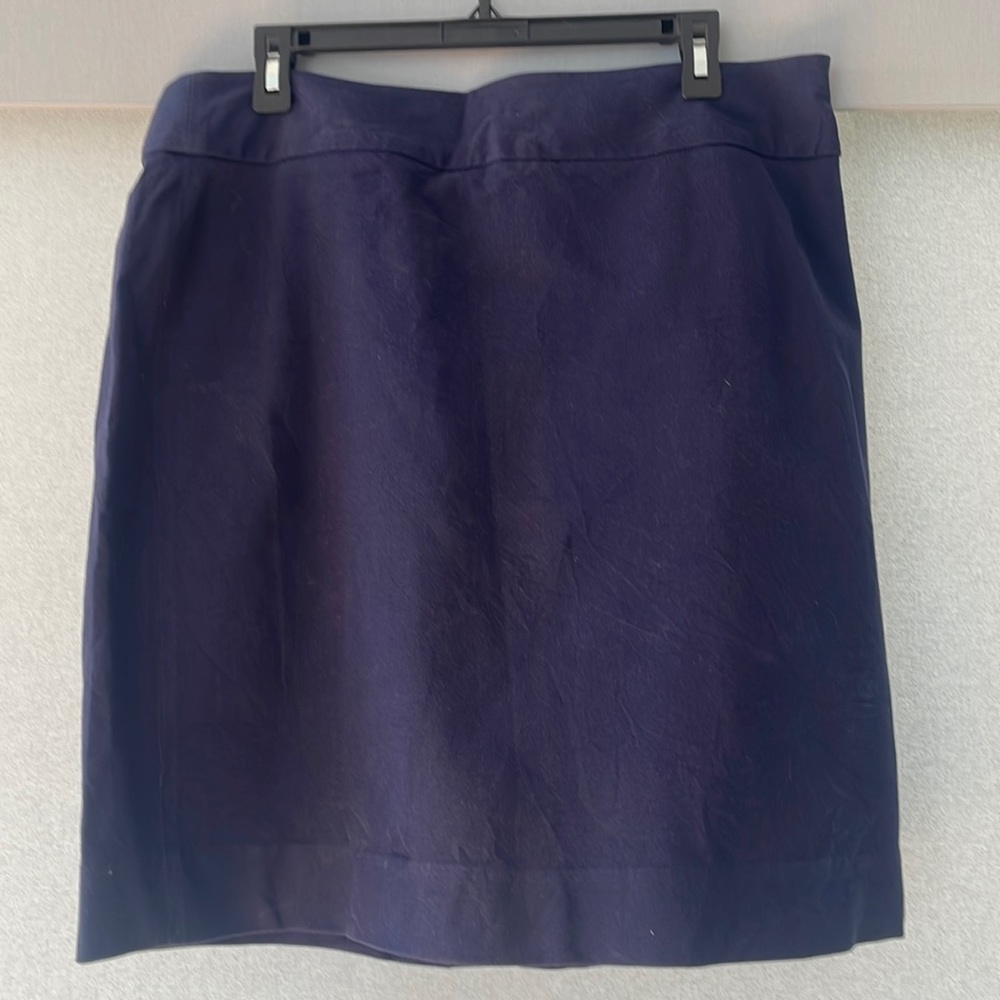 Banana Republic Skirt
